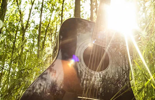 Embarking on a Musical Journey: Mastering the Guitar