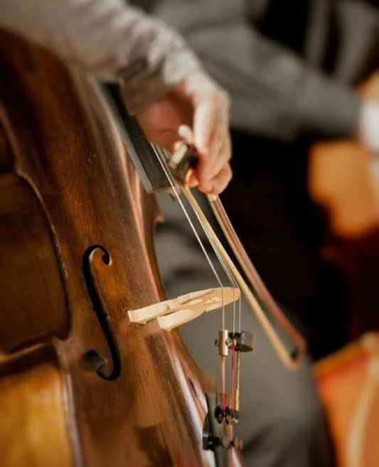 Exploring the Charm of the Cello: Learning and Enjoying