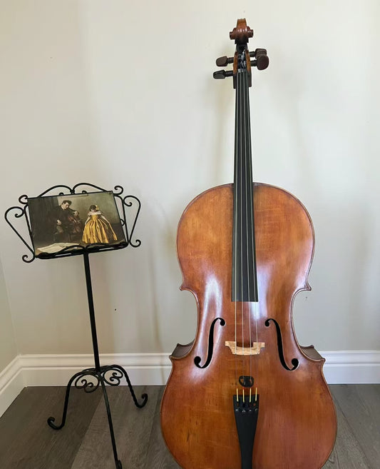 How to Maintain Your Cello